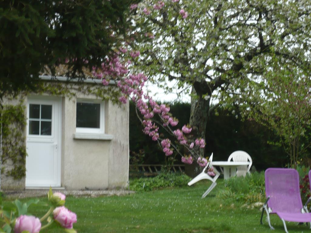 Chambres D'Hotes Anne-Marie Chatillon-sur-Indre Номер фото