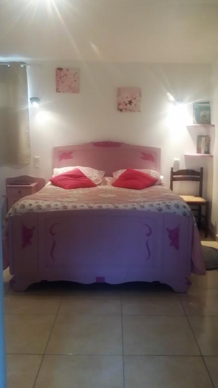 Chambres D'Hotes Anne-Marie Chatillon-sur-Indre Экстерьер фото