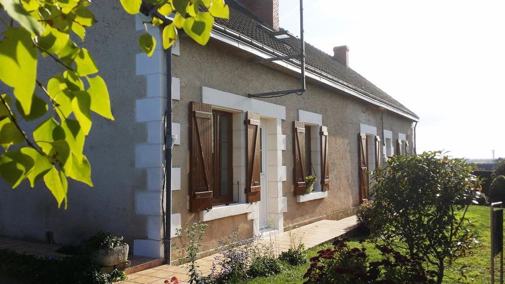 Chambres D'Hotes Anne-Marie Chatillon-sur-Indre Экстерьер фото