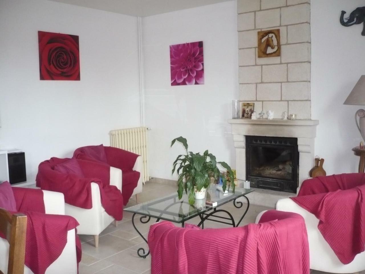 Chambres D'Hotes Anne-Marie Chatillon-sur-Indre Экстерьер фото