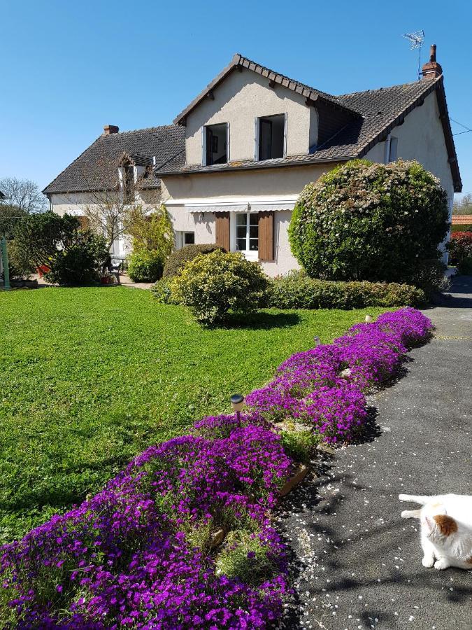 Chambres D'Hotes Anne-Marie Chatillon-sur-Indre Экстерьер фото
